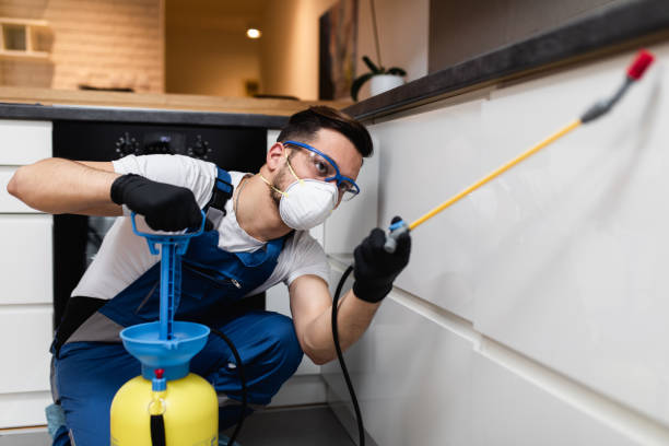 Best Best Pest Control Companies  in North Riverside, IL