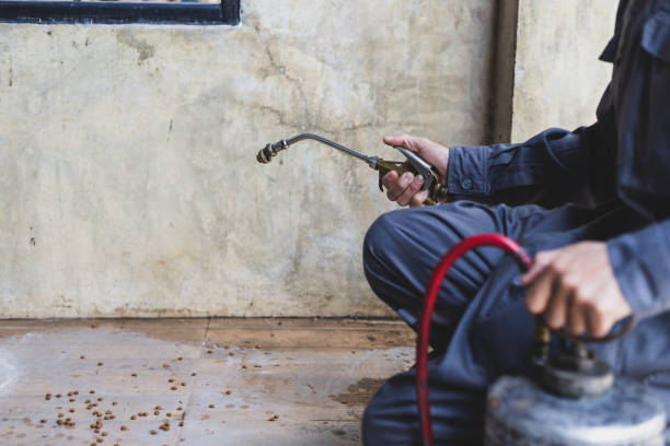 Best Pest Prevention Services  in North Riverside, IL